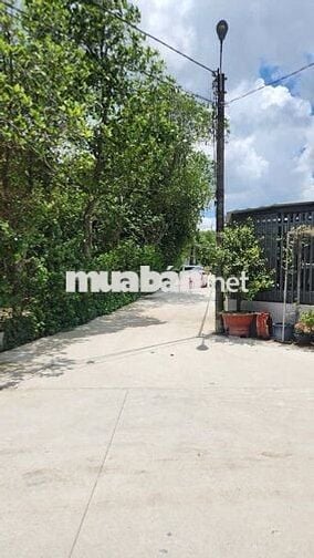 🏡 2 LÔ LIỀN KỀ ĐẤT AN THẠNH – 5x45m