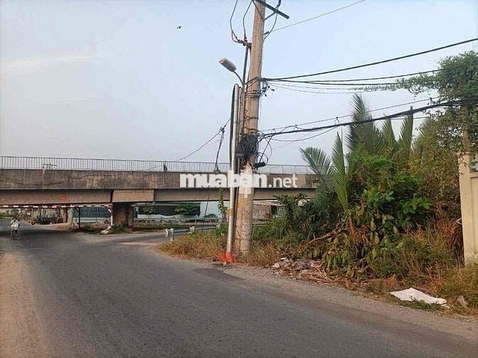 CHO THUÊ 3417m2 MT NGUYỄN VĂN RÀNG CÓ KHO SẴN