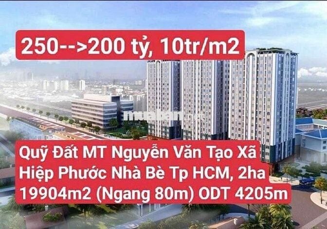 Quỹ Đất Mặt Tiền Nguyễn Văn Tạo Xã Hiệp Phước, Nhà Bè Tp HCM