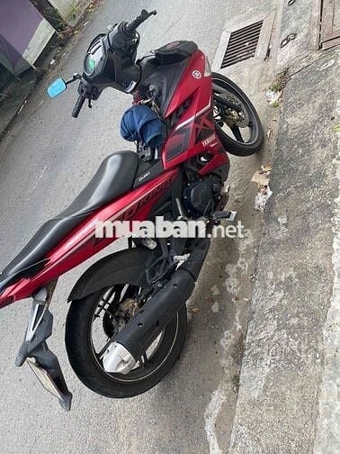 MX KING ZIN