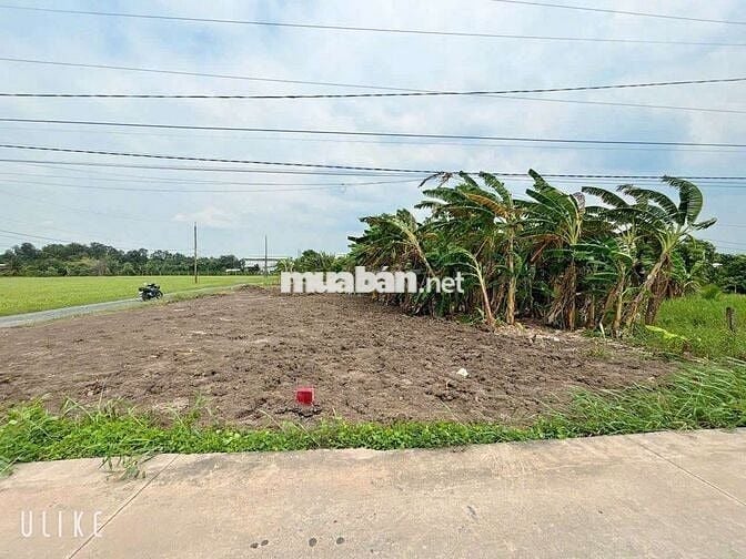 Đất nền thổ cư dt 5,5x20m giá 420tr.bình lãng tân trụ long an