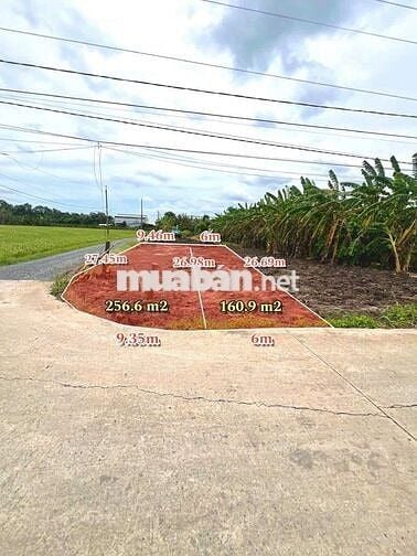 5,5×20 THỔ 100% GIÁ 420tr ,, ĐƯỜNG ÔTÔ ,TÂN TRỤ LONG AN