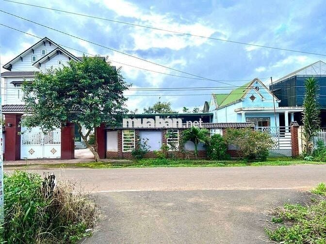 Lô đất thổ cư mát mẻ nằm Bảo Lâm,Lâm Đồng chỉ 499tr