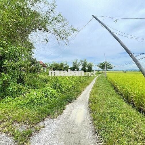 Bán lô đất đẹp chính chủ.Thăng Bình, Đà Nẵng. 280m ngang 10, 450 triệu
