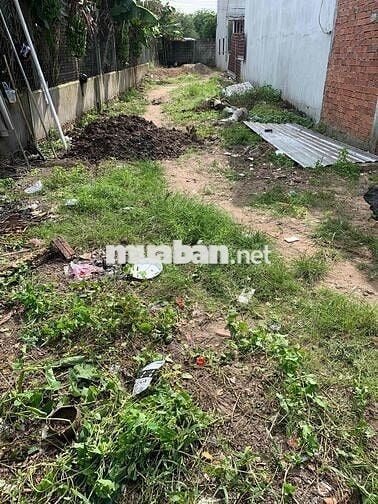 Đất sổ đỏ chung đường Dưỡng thị Phua Cu Chi