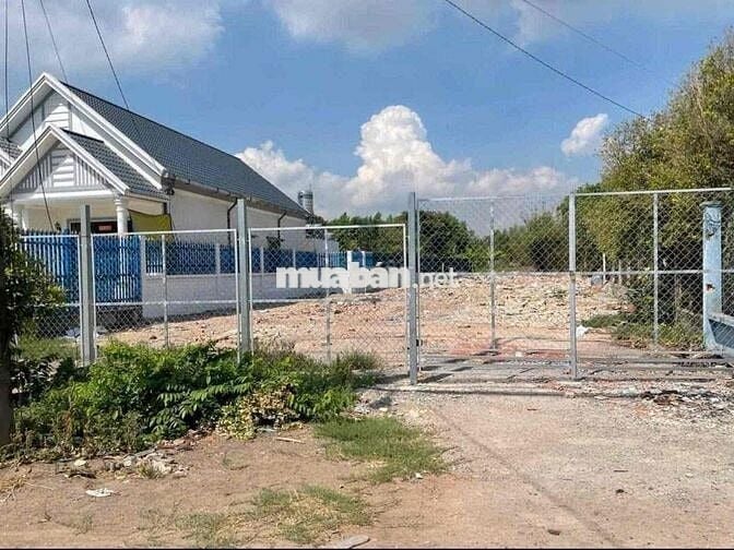 Chú Thím 5 cần tiền Lo Việc Gia Đình nên bán miếng đất