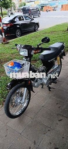 Bể nọ
