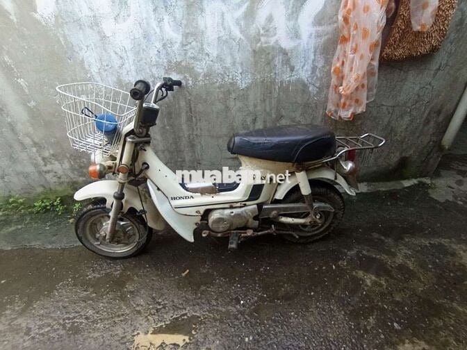 Xe chaly 50