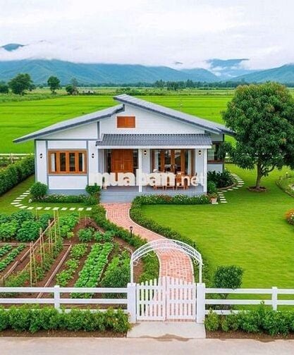 Chính chủ bán 545m2 đất lúa sổ riêng cách biển 5km