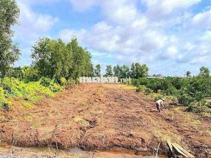 Hàng thơm, 1000m2 đất thổ View Kênh cực đẹp, 1.55 tỷ