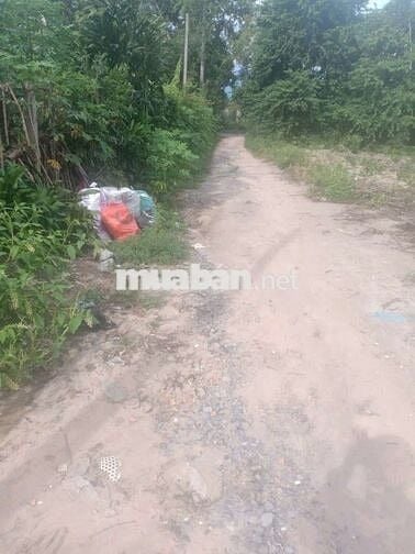 Chính chủ cần bán đất khu dân cư đông đúc