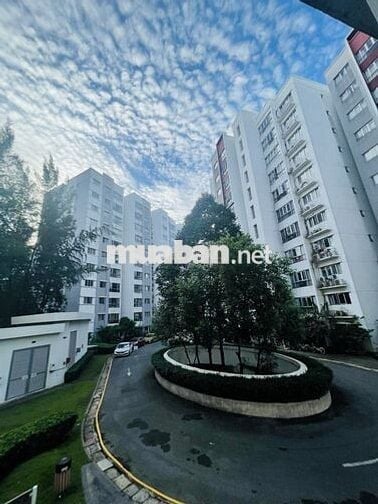 CHO THUÊ GẤP! Căn hộ Ruby Celadon City 3PN, 98m² - Giá siêu rẻ.