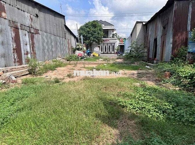 Cần bán nhanh lô đất thổ cư 125m2 MT đường Nguyễn Du, phường 8, huyện