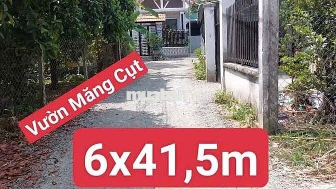 BÁN ĐẤT AN THẠNH (6x41) CÁCH NHỰA 50m