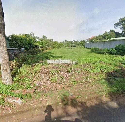 Bán đất thổ cư nằm ngay MT đường Võ Văn Kiệt, Phường 7, Trà Vinh