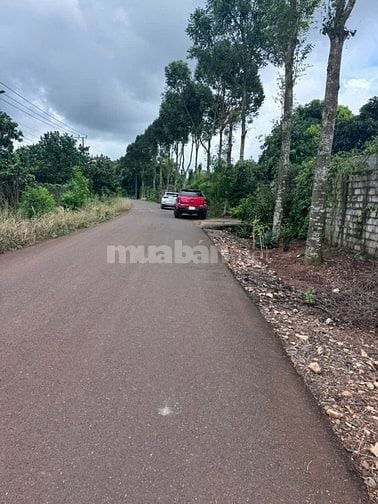 BÁN 124M MẶT TIỀN ĐƯỜNG NHỰA PHƯỜNG TÂN THÀNH - VŨNG TÀU HCM