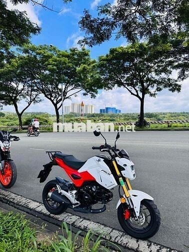Bán MSX125 dk 2021