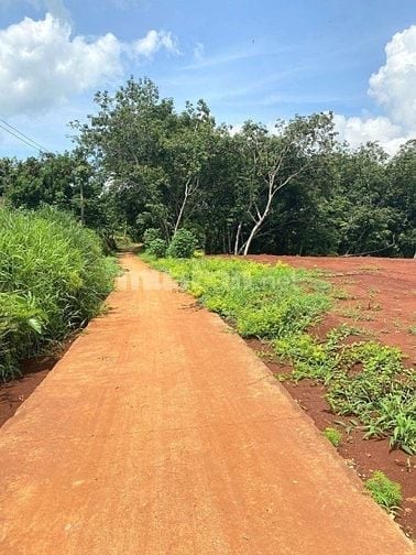 Chính chủ bán đất đẹp40M mặt tiền ô tô, có suối chảy quanh năm, giá rẻ