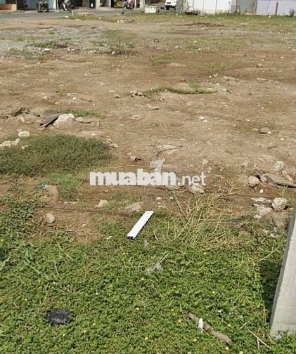 Lý do khó nói nên bán đất dt 106,5m2 giá 845tr  Bình Chánh