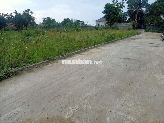 CC BÁN LÔĐẤT MẶT TIỀN KHỦNG 30,64M GIÁ RẺ CHỈ 11TR/m 373,5m giá 4,1tỷ