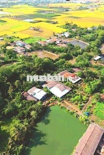 Hàng thơm 150m2 đất thổ view kênh cực đẹp chỉ 420tr
