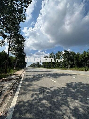 🏡 Đất Full Thổ Cư 150m² Ngay ĐH Thủ Dầu 1 – Mặt Tiền Nhựa 22,5m