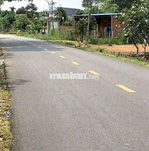 Bán đất đi du lịch 91m2 SHR 668tr Đ Trần Minh Châu ,TP Tân An  Long an