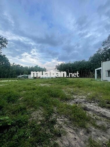 ĐẤT LAI HƯNG 85, GIÁ CHỈ 12,5tỷ, RẺ NHẤT BÀU BÀNG