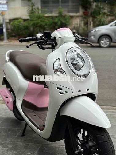 Scopy 11/2020 BsTp ngay chủ chứng giấy sang tên