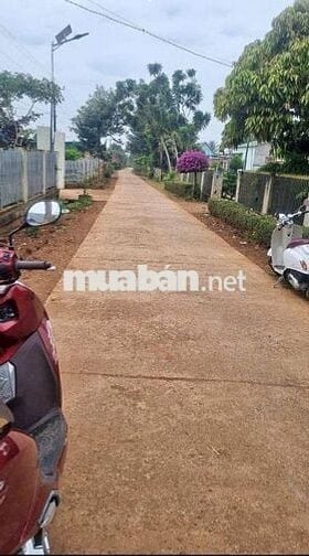 21m bê tông Xã Ninh Gia khu dân cư hiện hữu