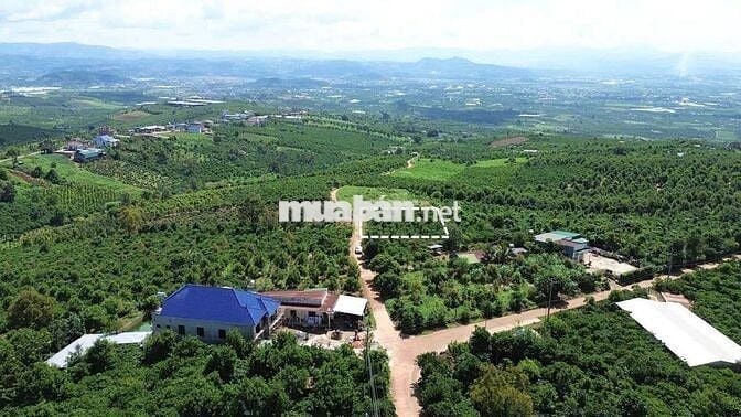View săn mây, view toàn cảnh thành phố và sân bay Lâm Đồng chi 4xx