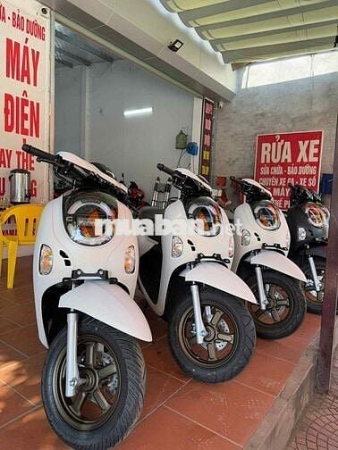 Scoopy nhập indo neww 100%