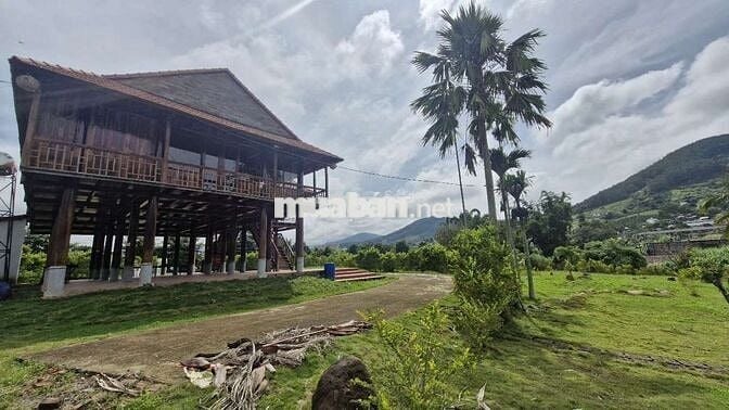 BÁN CĂN NHÀ GỖ VIEW SUỐI TRÊN MẢNH ĐẤT 5000M²