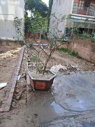 ĐẤT ĐẸP CAO LỖ - UY NỖ - ĐÔNG ANH – GIÁ RẤT HỢP LÝ 
