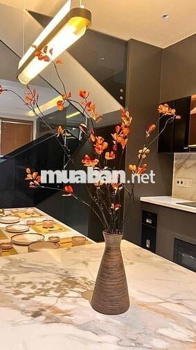 Bán nhà Bùi Công Trừng mới 100%