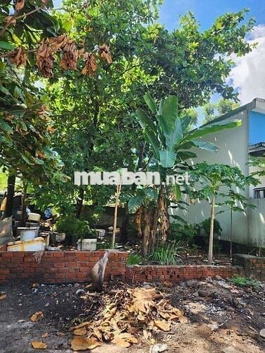 🔥 CỰC HIẾM ĐÀO CÔNG SOẠN – CÁCH BIỂN NGUYỄN TẤT THÀNH CHỈ 100M 🔥