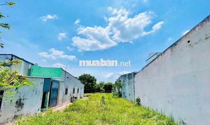 🏡 BÁN ĐẤT ĐẸP ĐƯỜNG HUỲNH THỊ MÀI – TÂN HIỆP, HÓC MÔN 🏡