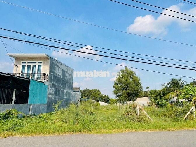 ĐẤT NGỘP, 6M X 41M, GIÁ 790 TRIỆU,CÔNG CHỨNG NGAY GIẢM THÊM 100 TRIỆU
