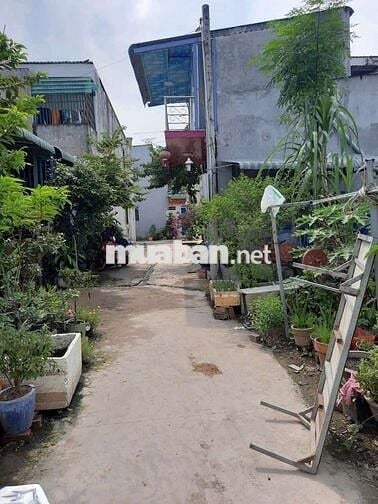 Bán đất 250tr diện tích 4x17m  phường tân vĩnh hiệp tân Uyên