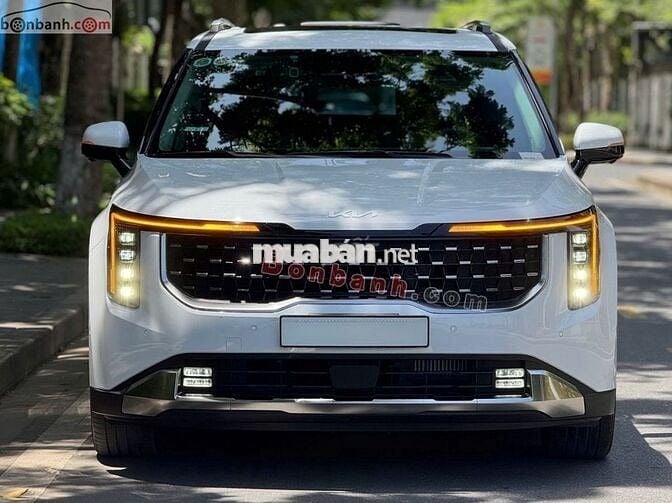 Kia Carnival 2025 Signature 2.2D - 1600 km