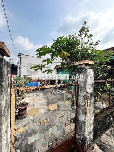 Bán nhà chợ đêm Bạch Đằng, phố đi bộ sông Bạch đằng