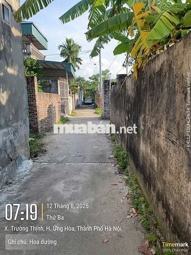 Bán đất chính chủ thôn hoa đường , ứng thiên, Hà Nội (xã trường thịnh)