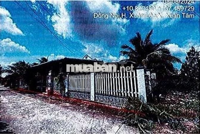 Bán ĐGTS đất tại xã Xuân Hòa, tỉnh Đồng Nai
