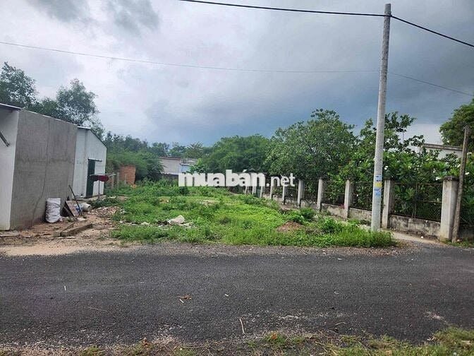 Bán lô đất 2 mặt tiền siêu đẹp sát Chợ Bông Trang , đường nhựa thông