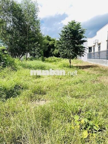 Cần bán đất thổ cư đường hẻm xe hơi ra vào thoải mái