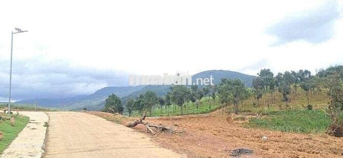 Lô góc 2 mặt tiền đường với chiếc view săn mây cực chill ven Đà Lạt