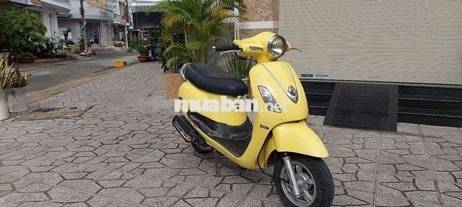 Atila alizabet bs65