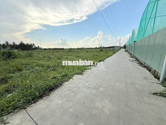 ĐẤT GIÁ RẺ ĐẦU TƯ – Đường Mai Bá Hương, Tân An, Long An, 148m²/620tr