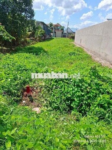 BÁN GẤP LÔ ĐẤT 155,9M² TÂN PHÚ TRUNG, CỦ CHI.
