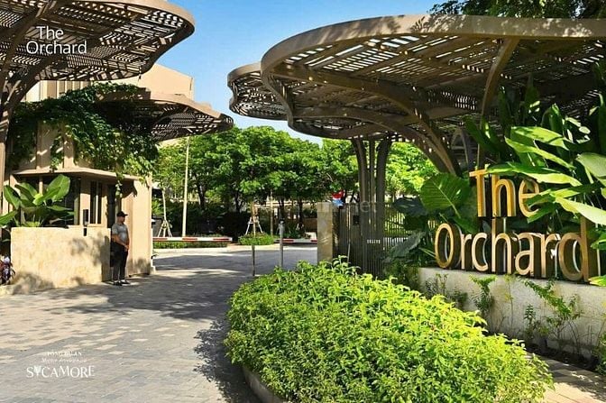 THE ORCHARD SYCAMORE – KIỆT TÁC SỐNG XANH GIỮA LÒNG THÀNH PHỐ MỚI